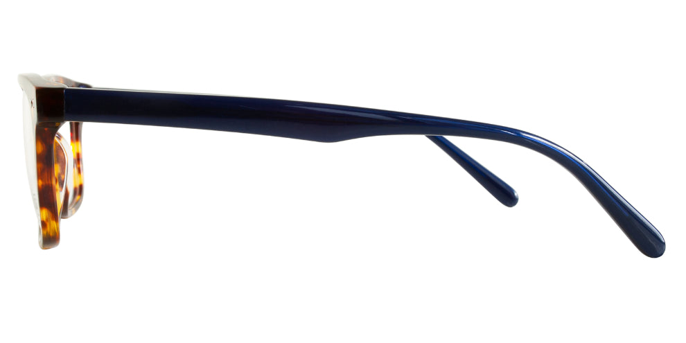 Lincoln Sunglasses