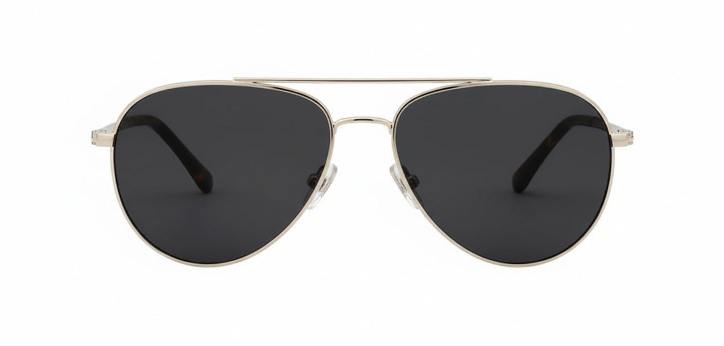 Beck Sunglasses