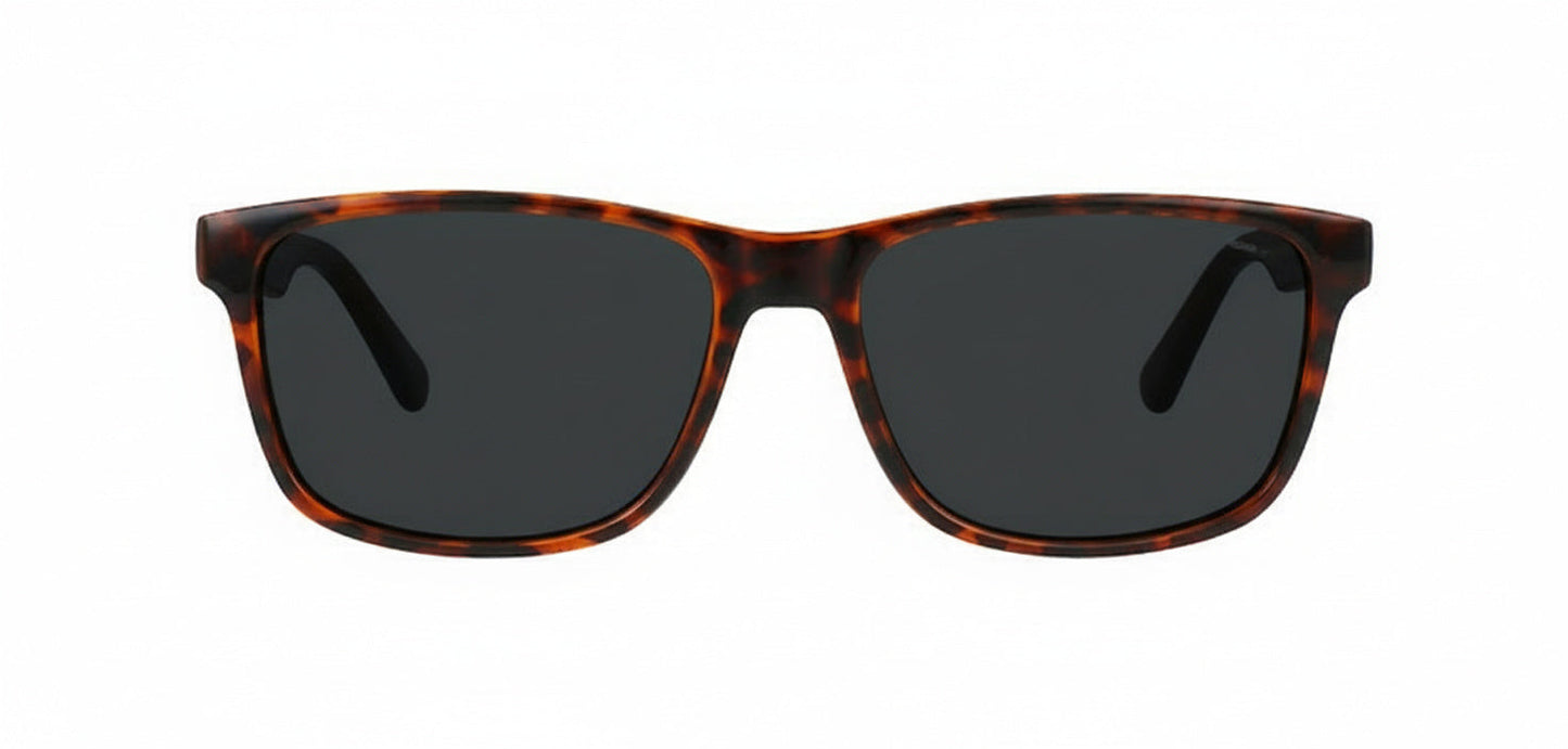 Rhodes Sunglasses