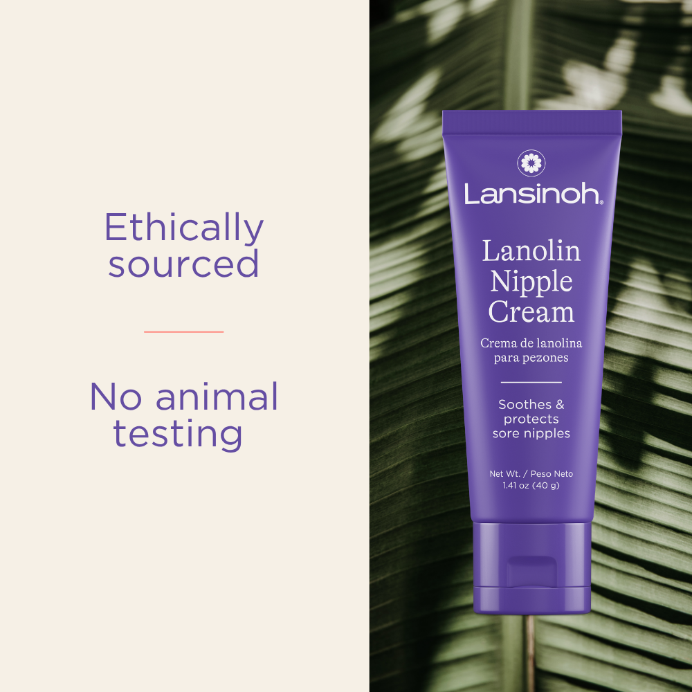Lansinoh Lanolin Nipple Cream, 40 grams