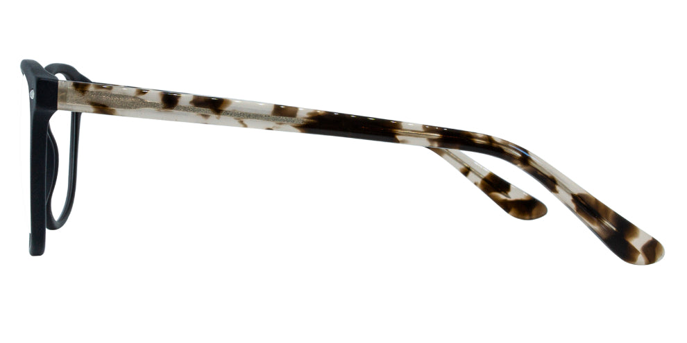 Lavin Sunglasses