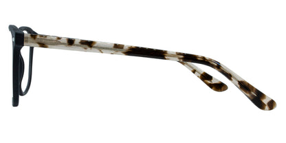 Lavin Sunglasses