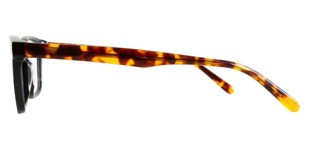 Lincoln Sunglasses