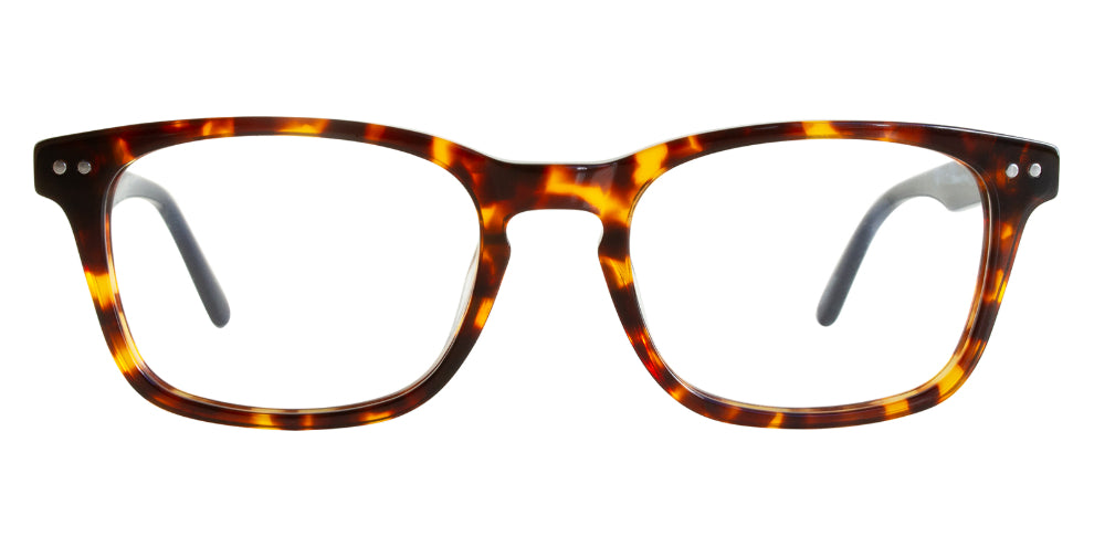 Lincoln Sunglasses