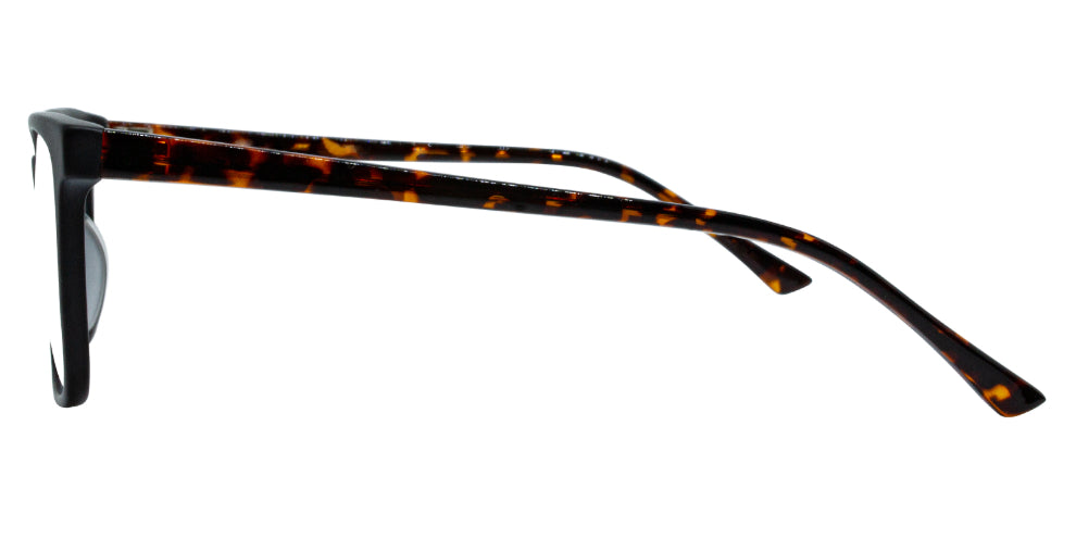 Pimlico Sunglasses
