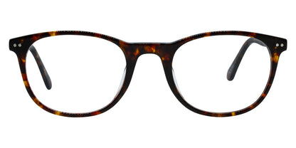 Ventura Sunglasses