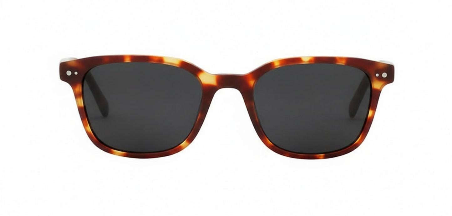 Grant Sunglasses
