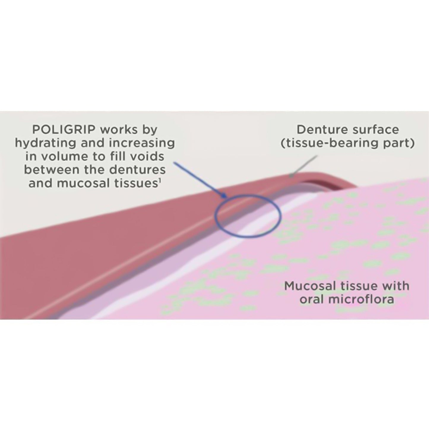 Super Poligrip® Original Denture Adhesive Cream, 2.4 oz Tube